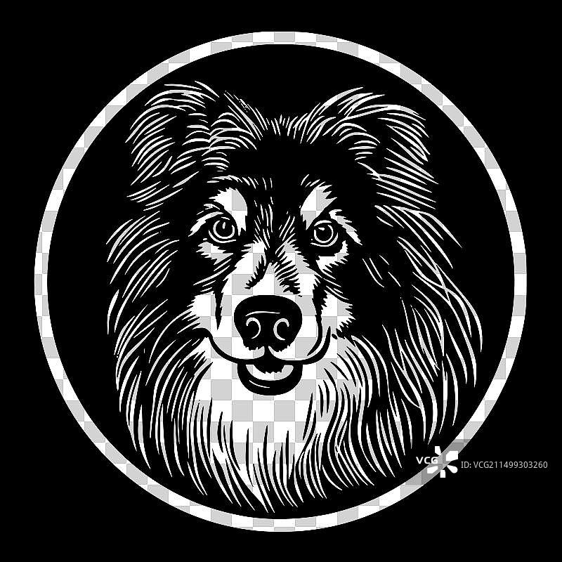 设得兰牧羊犬 - 黑白隔离图标图片素材