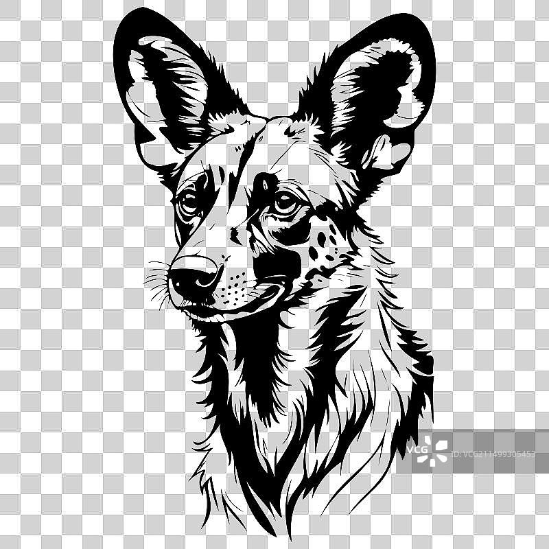 非洲猎犬肖像雕刻画图片素材