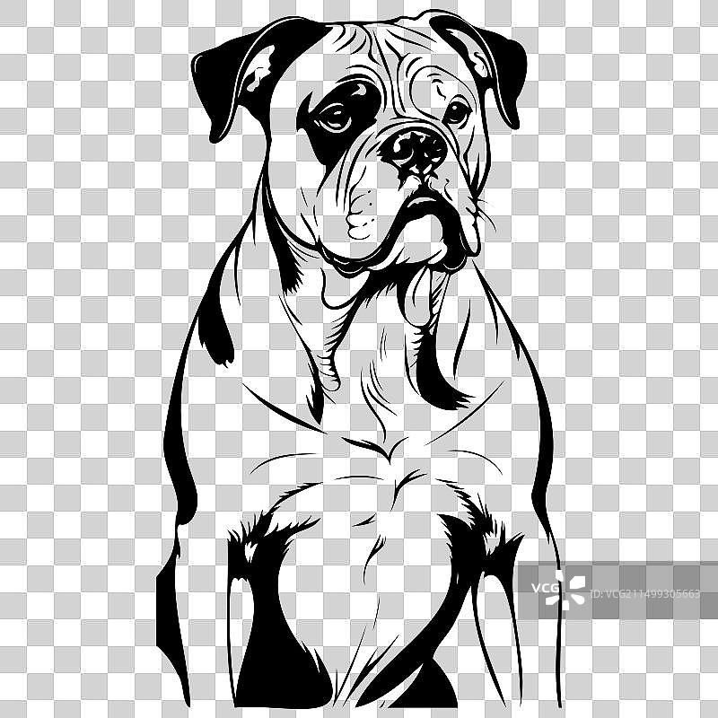 美国斗牛犬写实手绘肖像图片素材