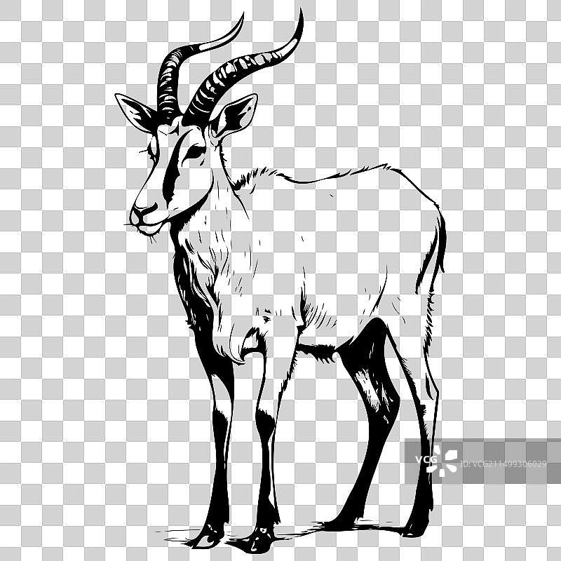 雕刻的弯角剑羚侧身站立手绘草图图片素材