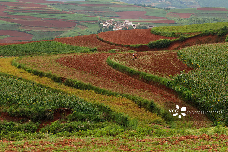 红土地图片素材
