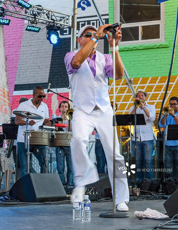 2013年2月14日，加拿大多伦多：圣克莱尔节上的莎莎舞表演图片素材