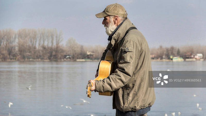 泽蒙多瑙河畔街头音乐家图片素材