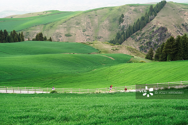 新疆江布拉克的美，像画图片素材