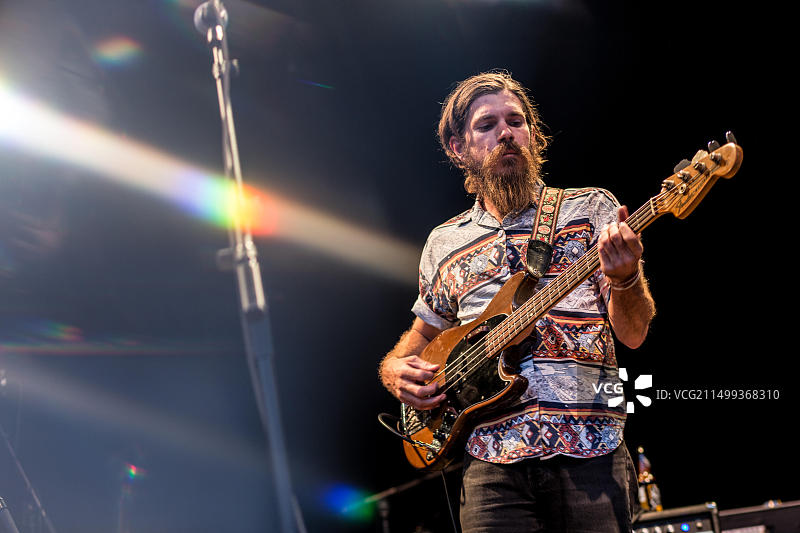 香根草图片素材