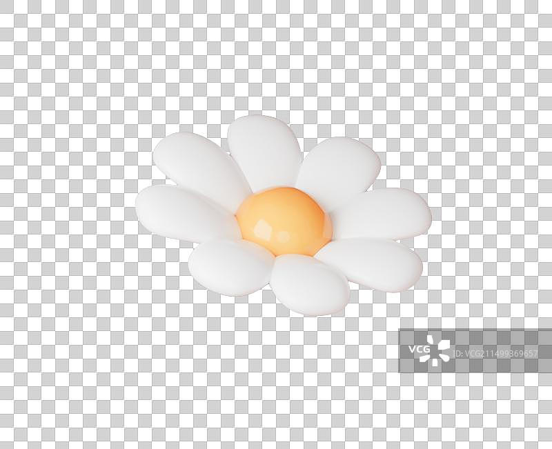 夏天春天花朵3D元素雏菊大滨菊插画图片素材