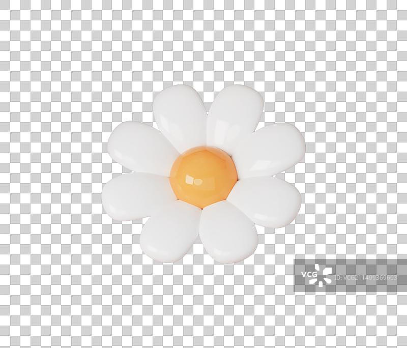 夏天春天花朵3D元素雏菊大滨菊插画图片素材