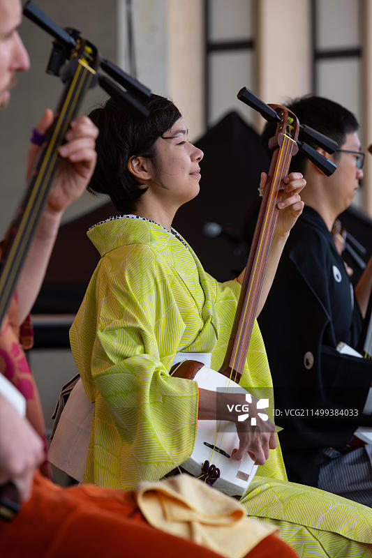 樱花盛开日：世界花园公园内的三味线演奏图片素材