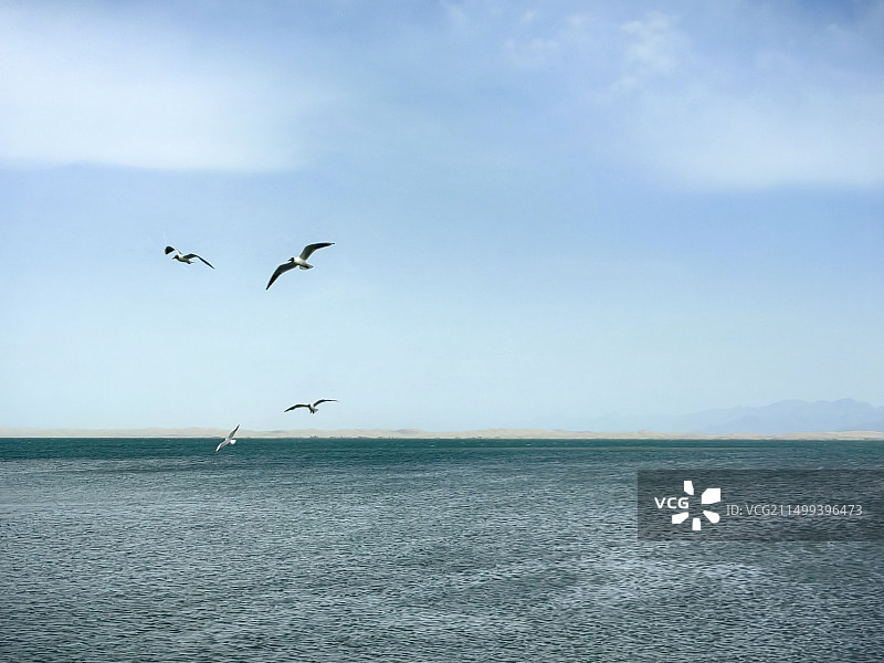 博斯腾湖之夏图片素材