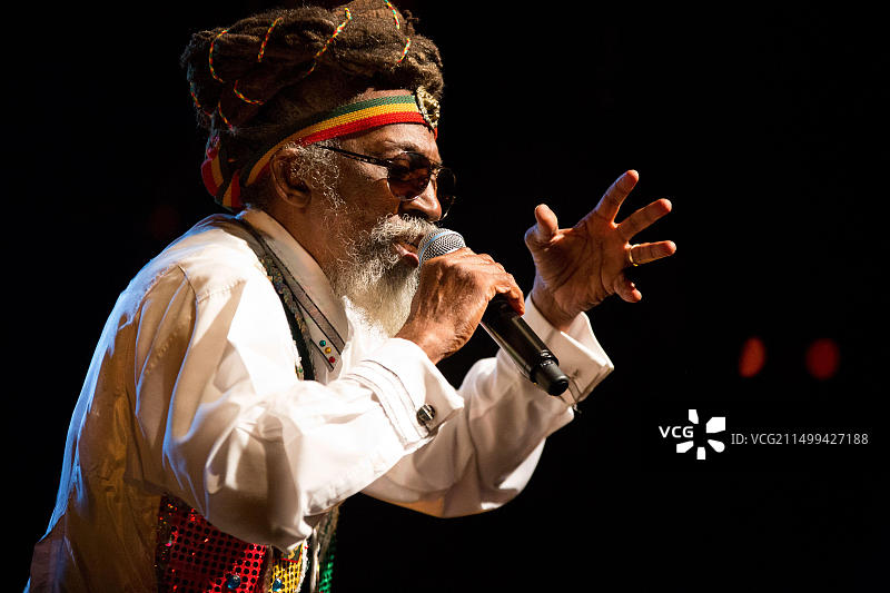 内维尔·奥莱利·利文斯顿（Bunny Wailer），法国巴黎，2014年图片素材