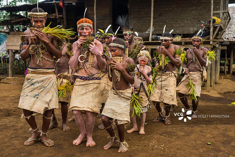 巴布亚新几内亚新不列颠岛西新不列颠省金贝地区里尔门村的排箫传统音乐团体图片素材