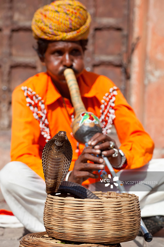 印度斋浦尔城市宫殿外的耍蛇人图片素材