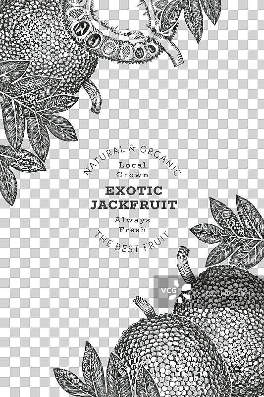 手绘素描风格菠萝蜜banner图片素材