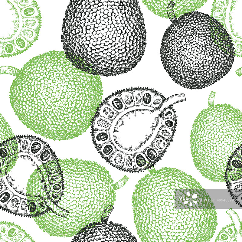 手绘菠萝蜜无缝图案图片素材