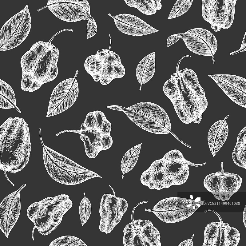 手绘苏格兰帽辣椒图片素材