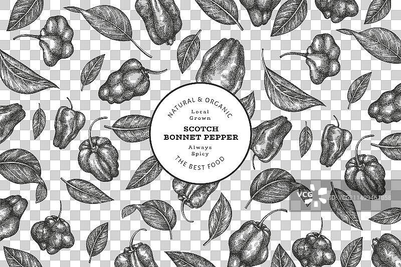 手绘苏格兰帽辣椒图片素材