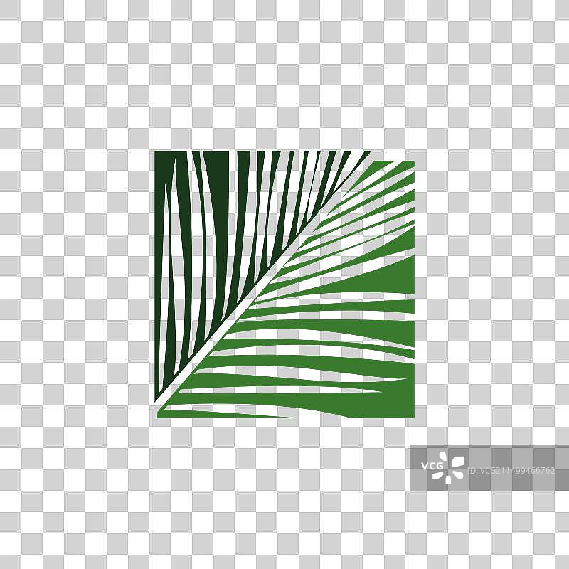绿色热带棕榈叶标志设计图片素材