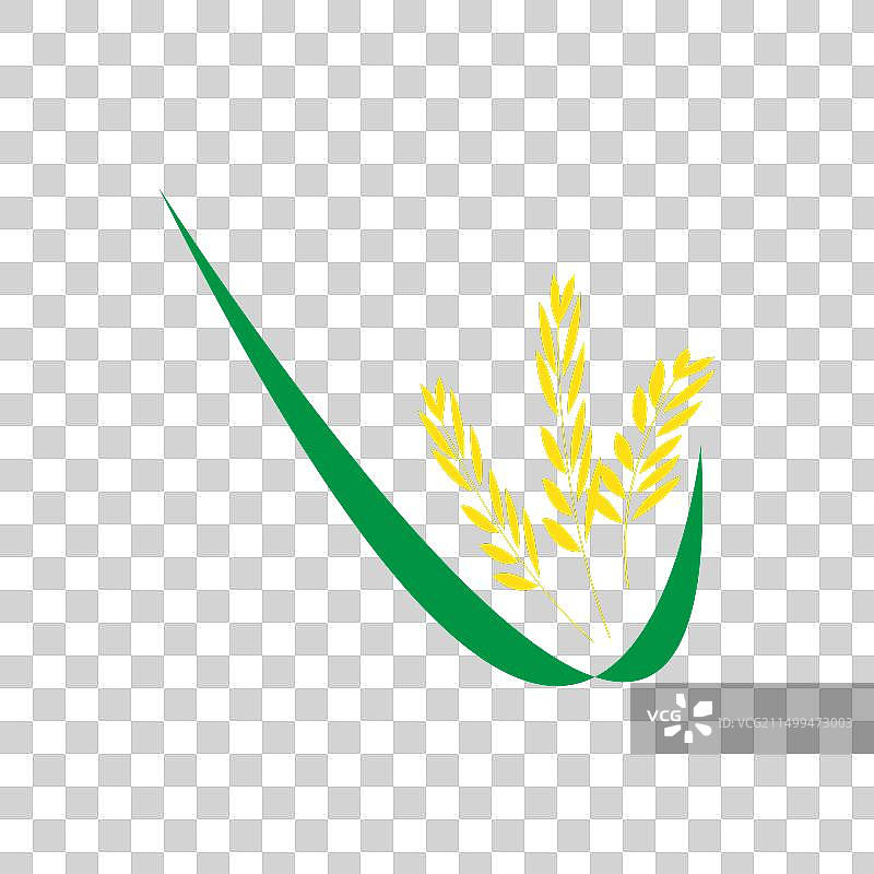 小麦Logo图片素材