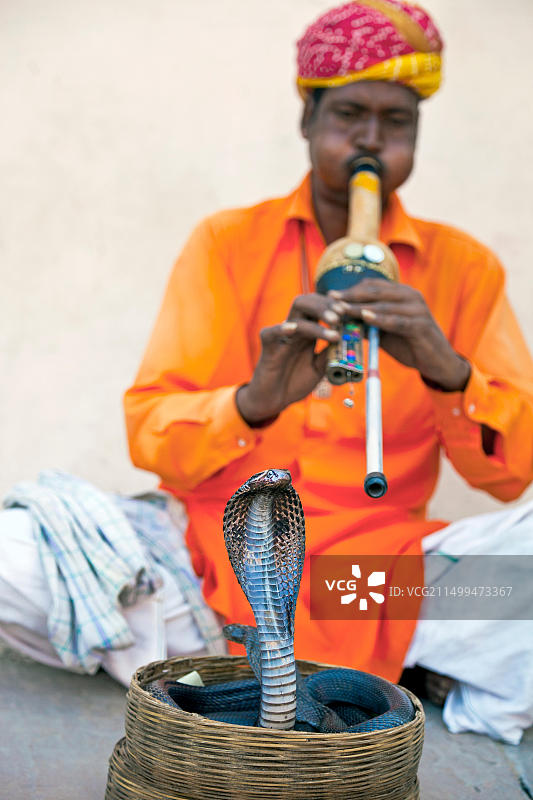 印度斋浦尔城市宫殿外的耍蛇人图片素材