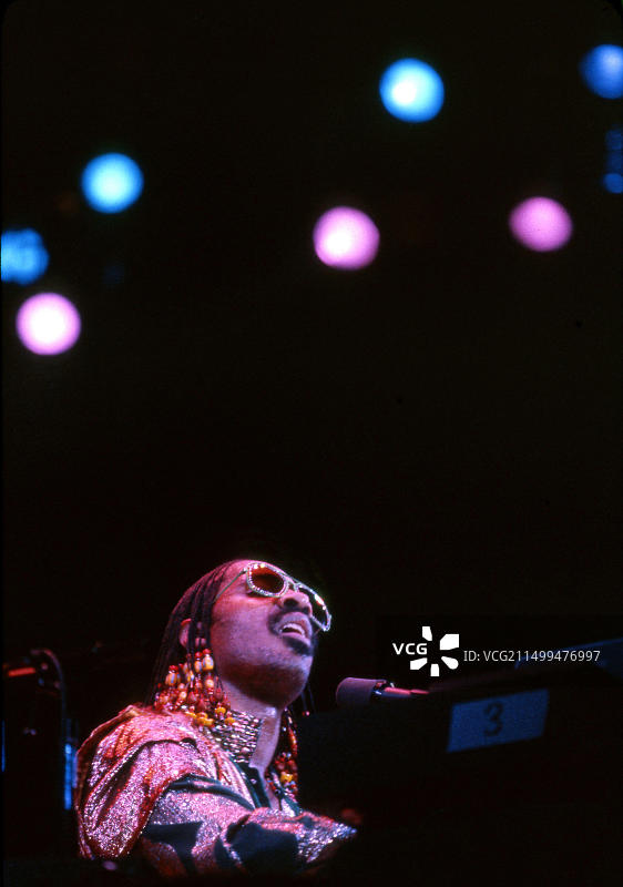 史蒂夫·旺达演唱会图片素材
