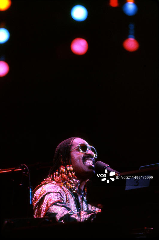 史蒂夫·旺达演唱会图片素材