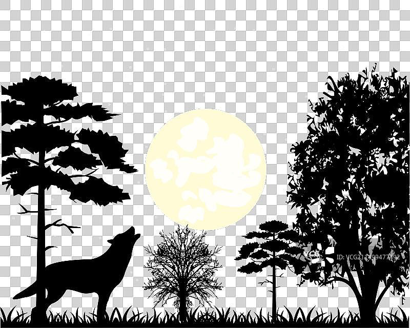 木头中的月夜和林间空地的狼图片素材