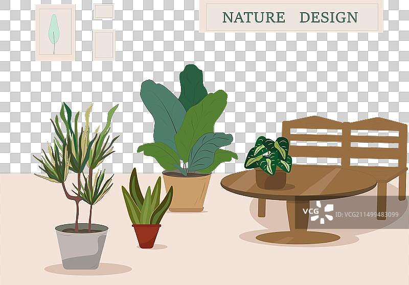 室内盆栽花卉图片素材