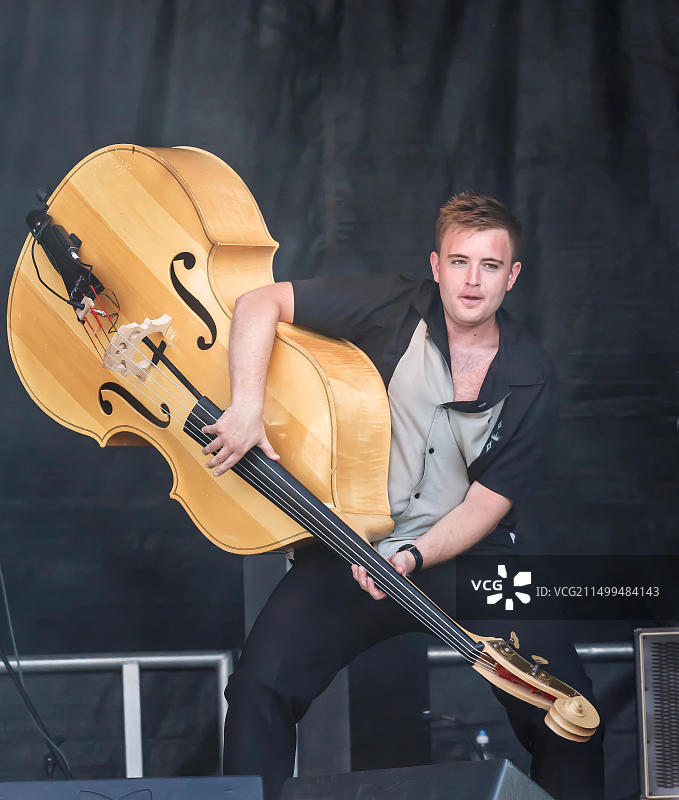 英国格洛斯特郡迪恩森林科尔福德音乐节的火鸟乐队，2016图片素材