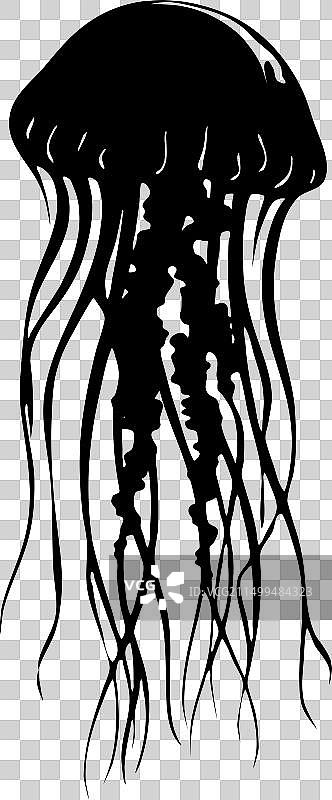 水母轮廓剪影图片素材