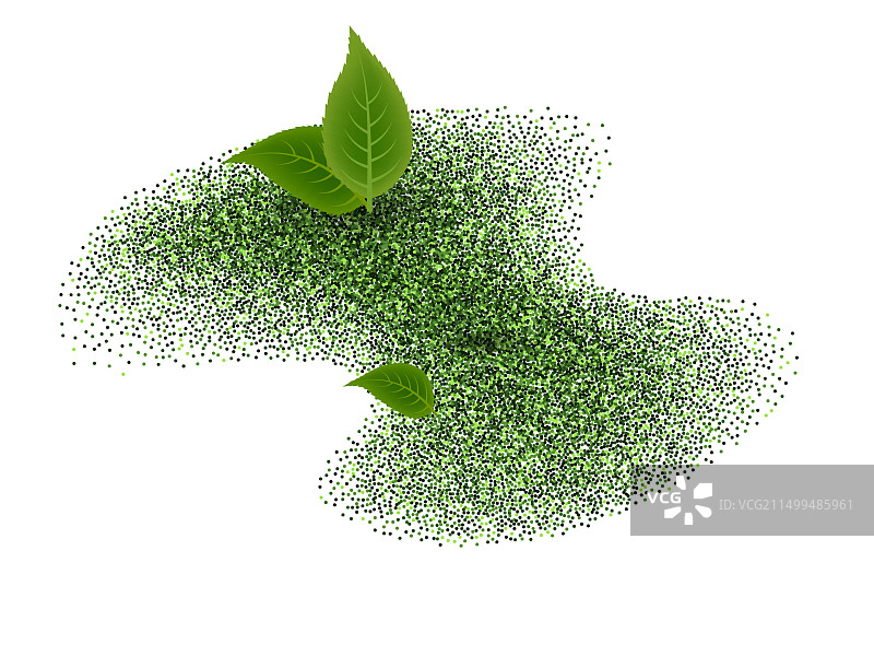 抹茶绿茶粉与绿叶飞溅图片素材