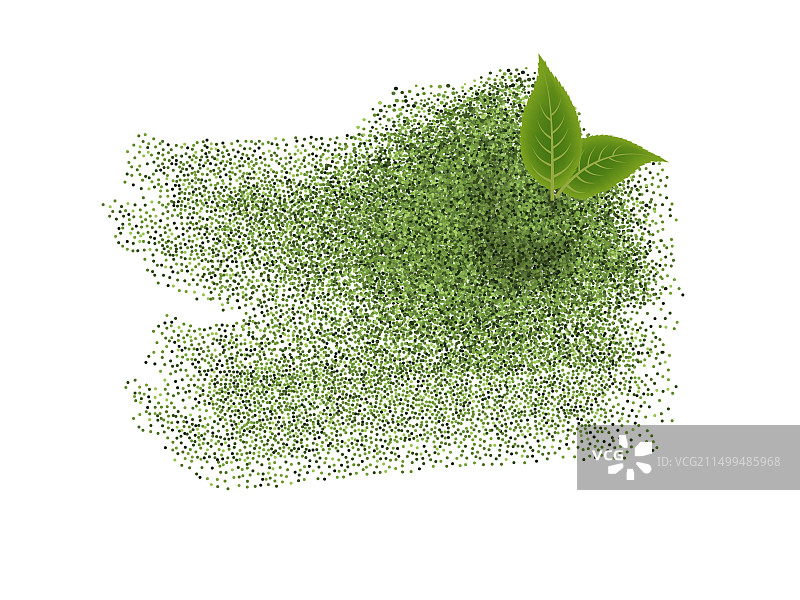 抹茶绿茶粉与绿叶飞溅图片素材