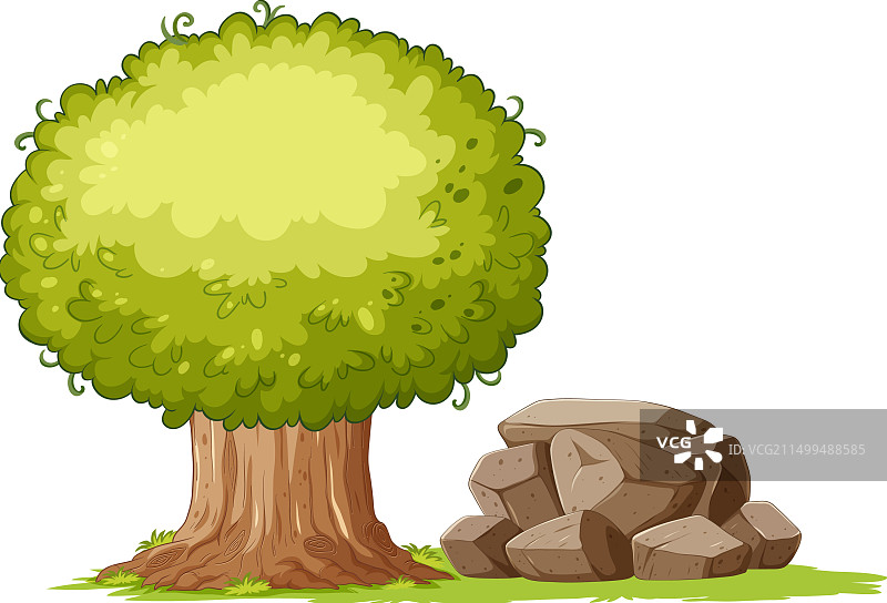 树和附近的石头图片素材