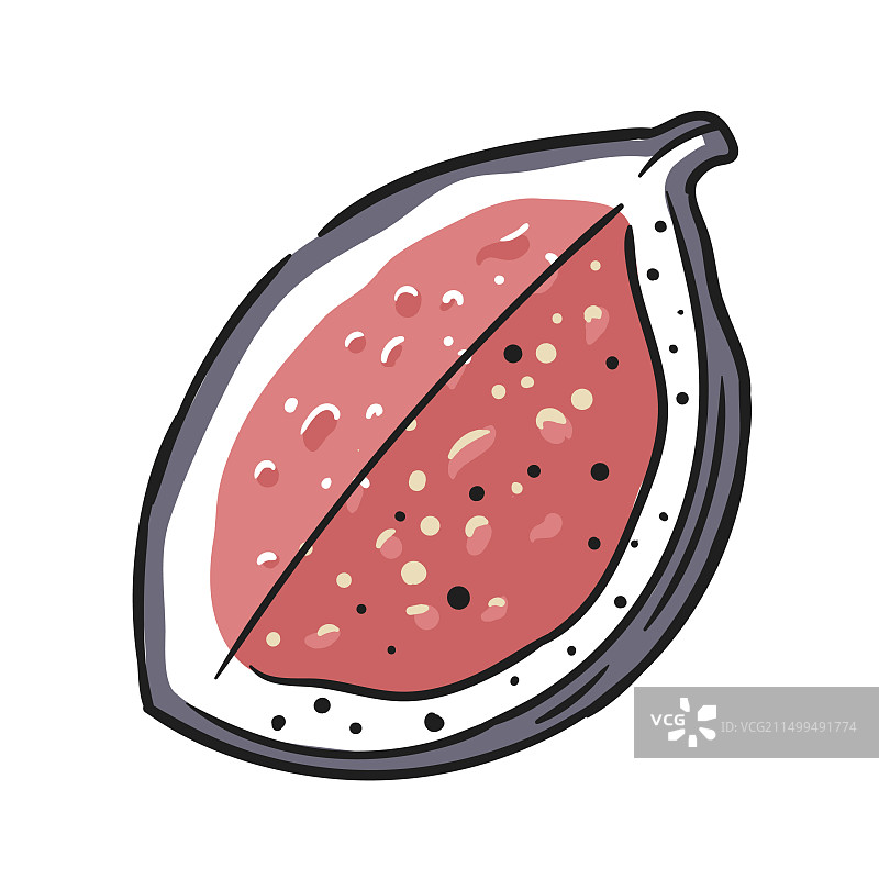 白色背景上的无花果切块图片素材