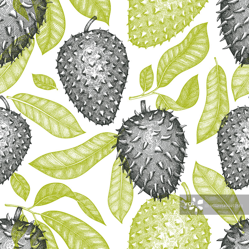 红毛榴莲水果无缝手绘草图图片素材