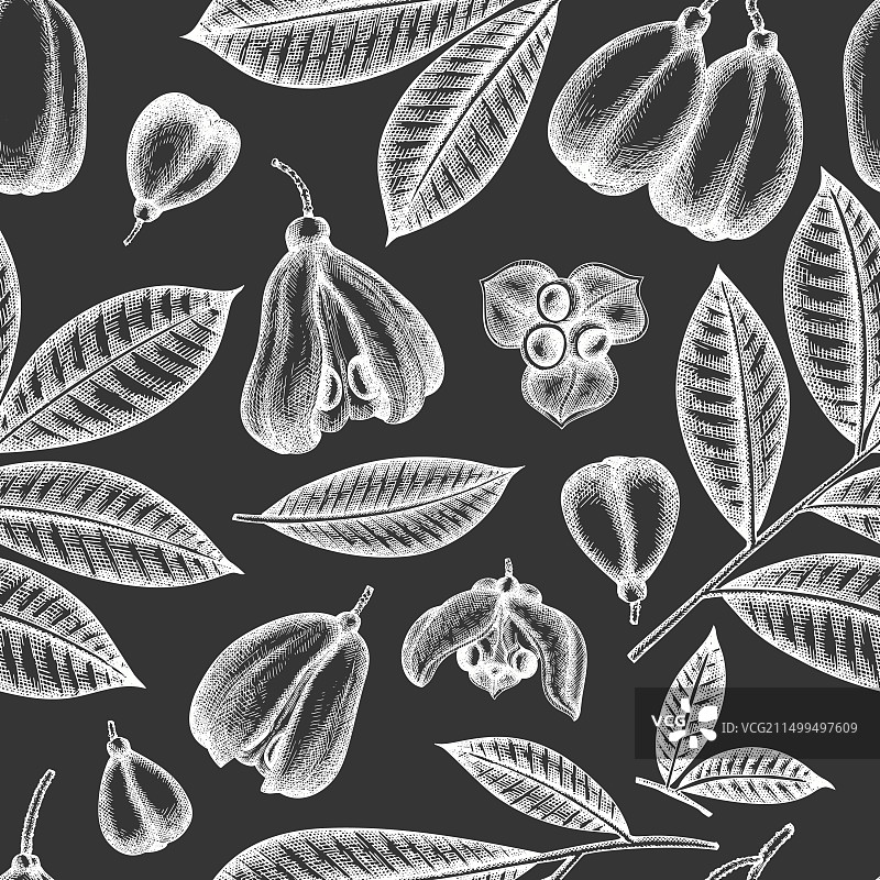 手绘风格西非荔枝果无缝图案图片素材