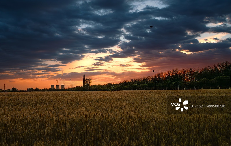 北京田野图片素材