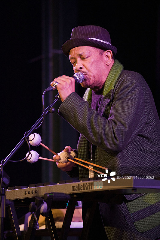 罗伊·艾尔斯在2012年布雷肯爵士音乐节上与乐队演出图片素材