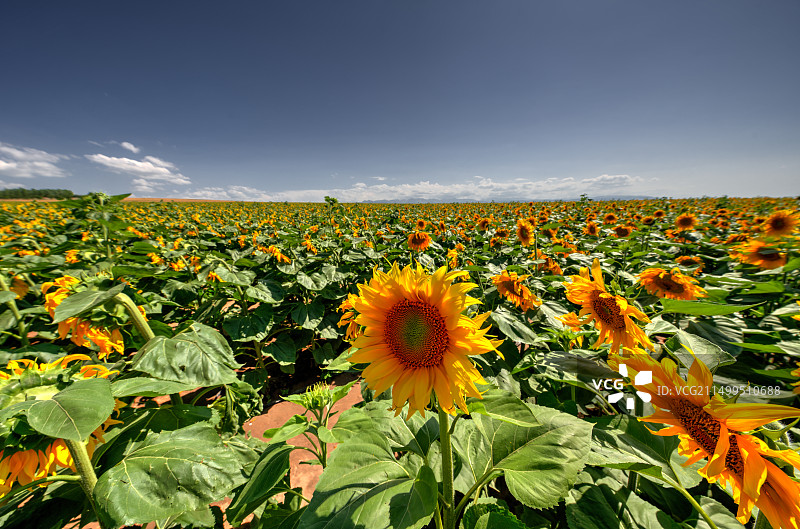 新疆琼库什台图片素材