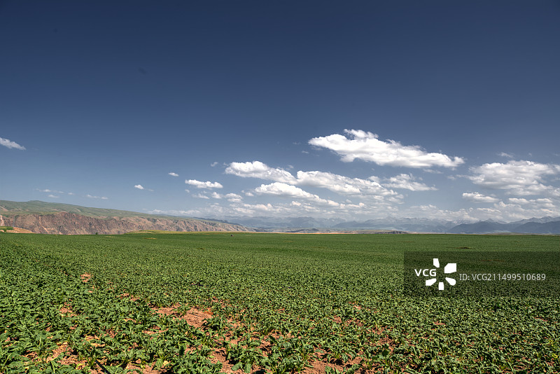 新疆琼库什台图片素材