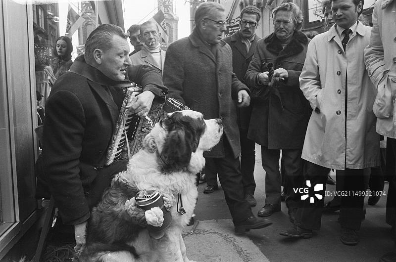 阿姆斯特丹的盲人街头音乐家和狗，约1972年12月21日图片素材