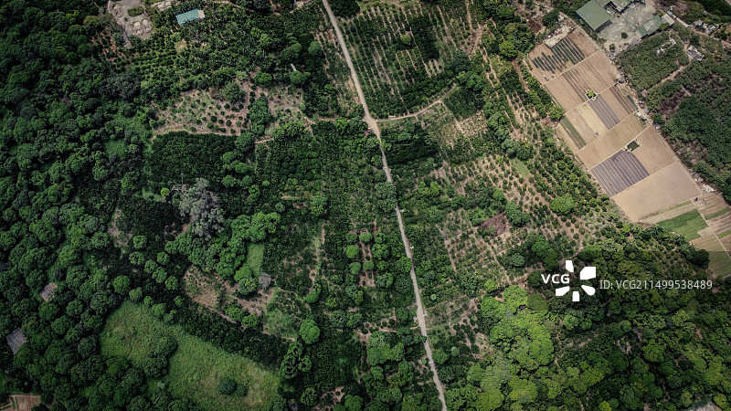 俯视田亩图片素材