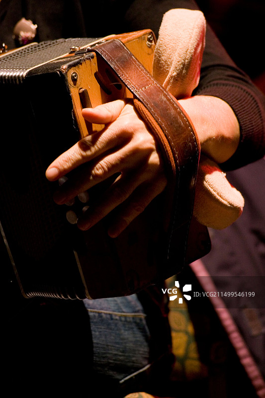 莎朗·香农，爱尔兰传统音乐家现场演奏图片素材