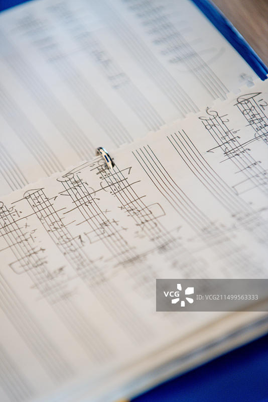 作曲家内德·比厄姆在西萨塞克斯郡比格诺公园住宅的录音室图片素材