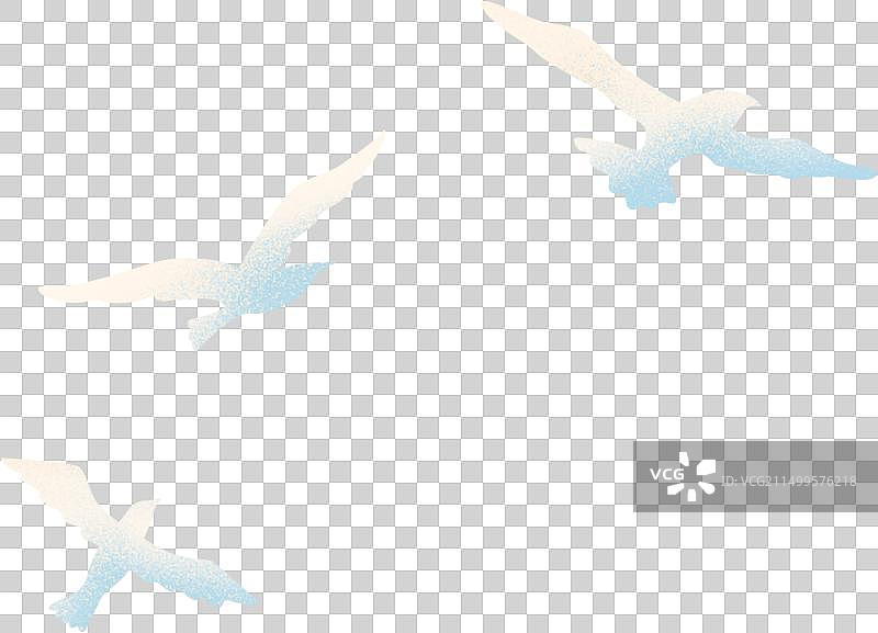 扁平海鸥图片素材