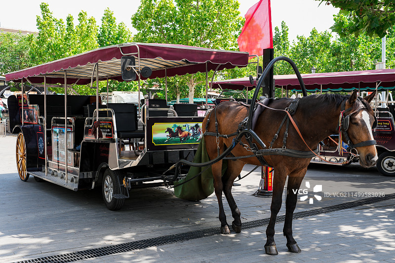 天津五大道民园广场马车图片素材