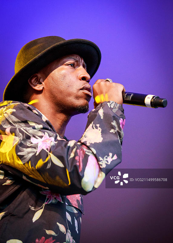 Tiggs Da Author乡村绿地音乐艺术节图片素材