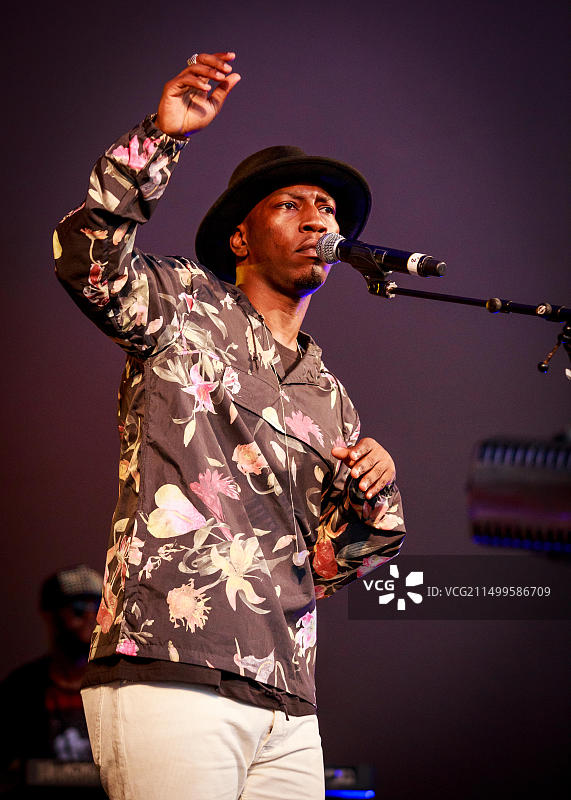 Tiggs Da Author乡村绿地音乐艺术节图片素材