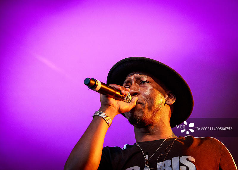 Tiggs Da Author乡村绿地音乐艺术节图片素材