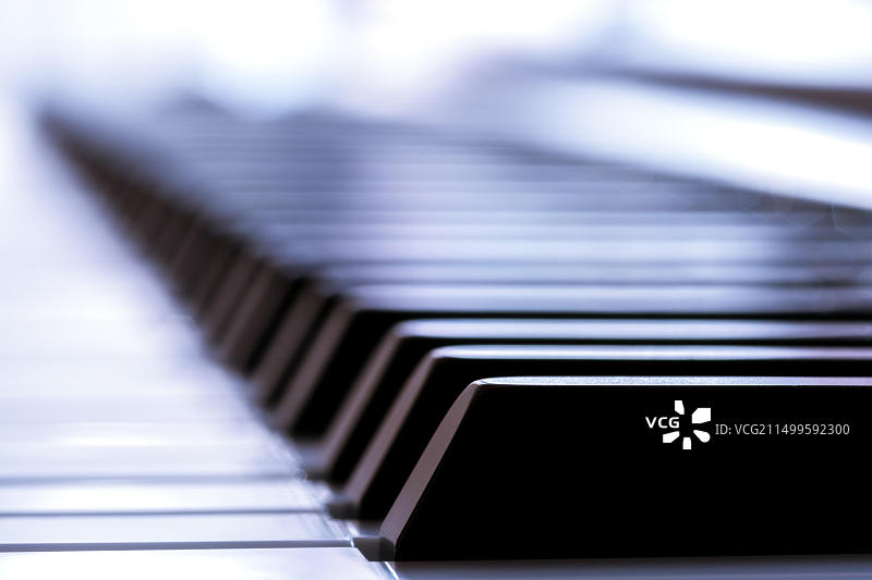 钢琴琴键的特写图片素材
