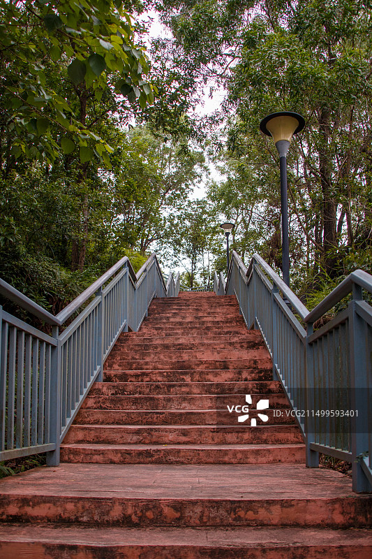 深圳尖岗山公园图片素材